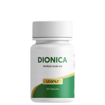 Dionica